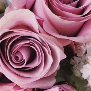 Meet your Posher, Raveena